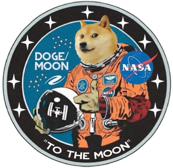 Non solo Gamestop, Reddit colpisce ancora: la criptovaluta DOGECOIN in rialzo del 500%