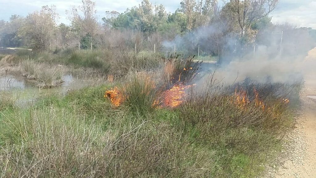 Incendio alla Strea, Aquaro (Legambiente): “Tutti siano sentinelle del territorio”