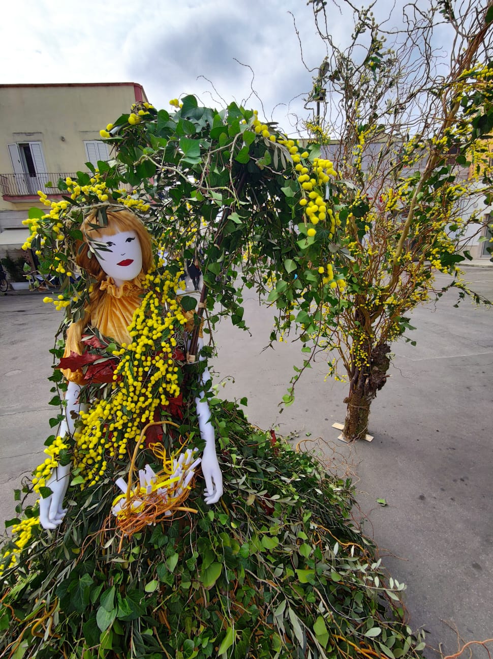 Installazioni con mimose e frasi per sottolineare la forza delle donne, così Porto Cesareo celebra l’8 marzo