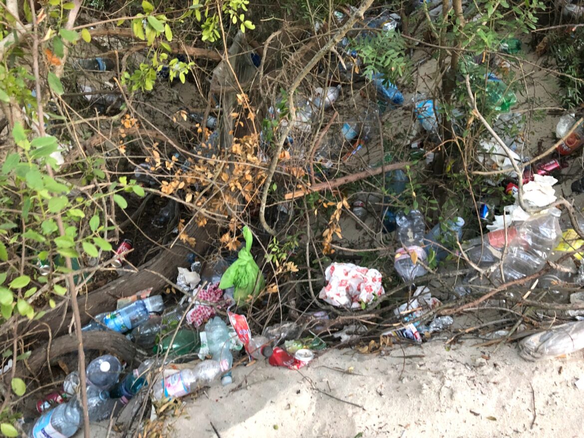 Raccolta di rifiuti abbandonati lungo la costa, Porto Cesareo si prepara per la stagione turistica