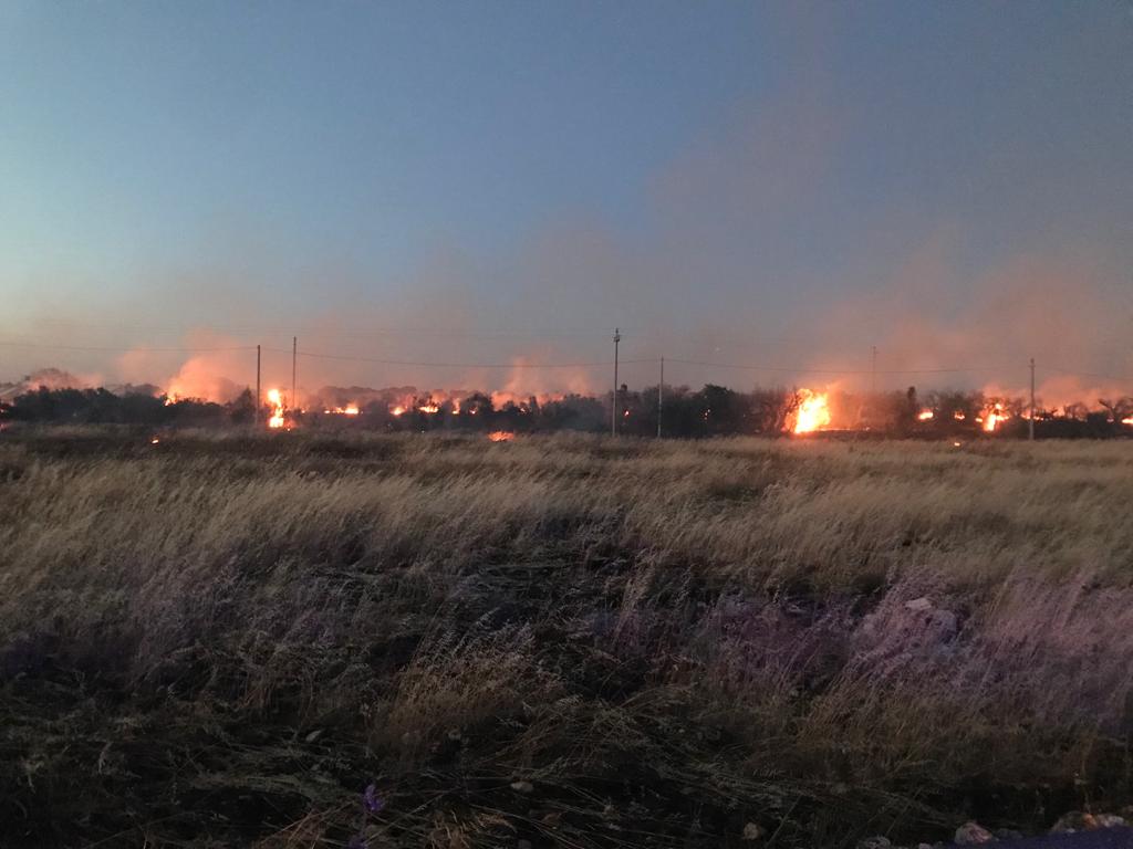 Ulivi a fuoco in località Giudice Giorgio: fiamme lambiscono la carreggiata