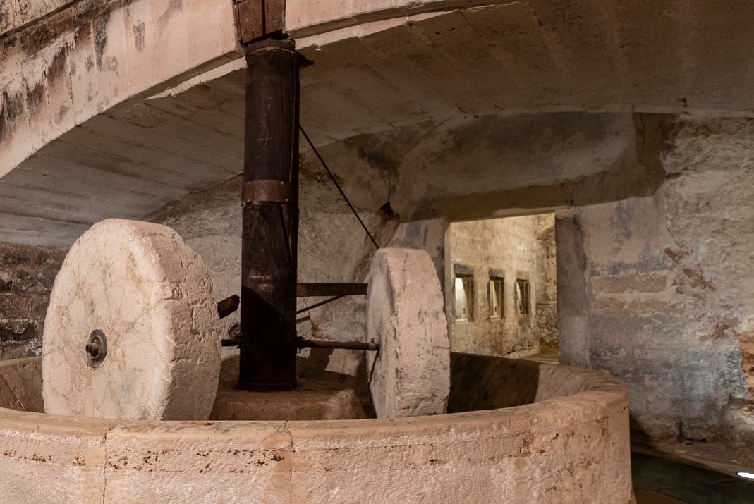 Masseria L’Astore, la ripartenza post covid ha il sapore del vino e dell’olio biologici