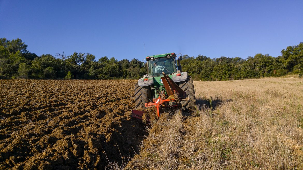 Morire di fatica nel 2021. Emiliano vieta lavoro nei campi nelle ore calde. Mellone: “Si estenda nostra ordinanza”