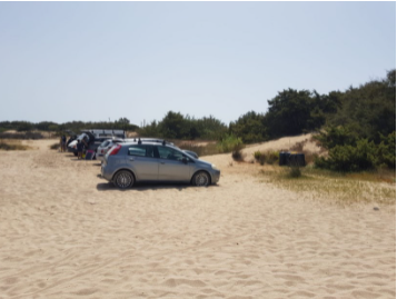 Parcheggi selvaggi, rifiuti, bivacchi: Legambiente denuncia il “turismo delirante” a Porto Cesareo