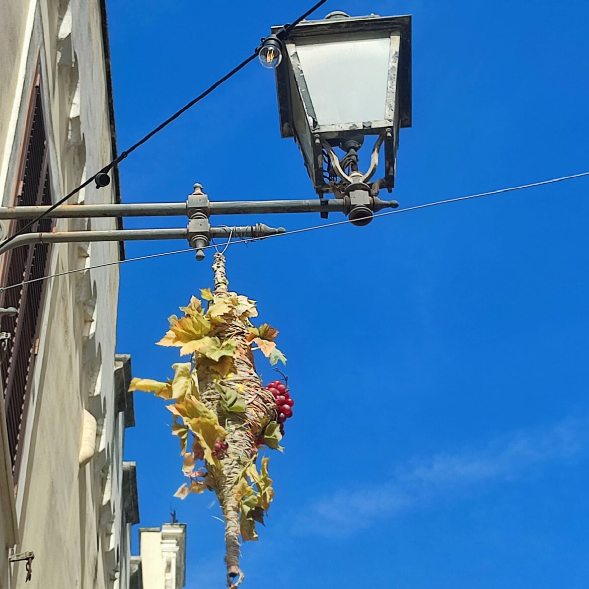 A Leverano torna Novello in Festa: protagonisti la viticoltura e la gastronomia locali