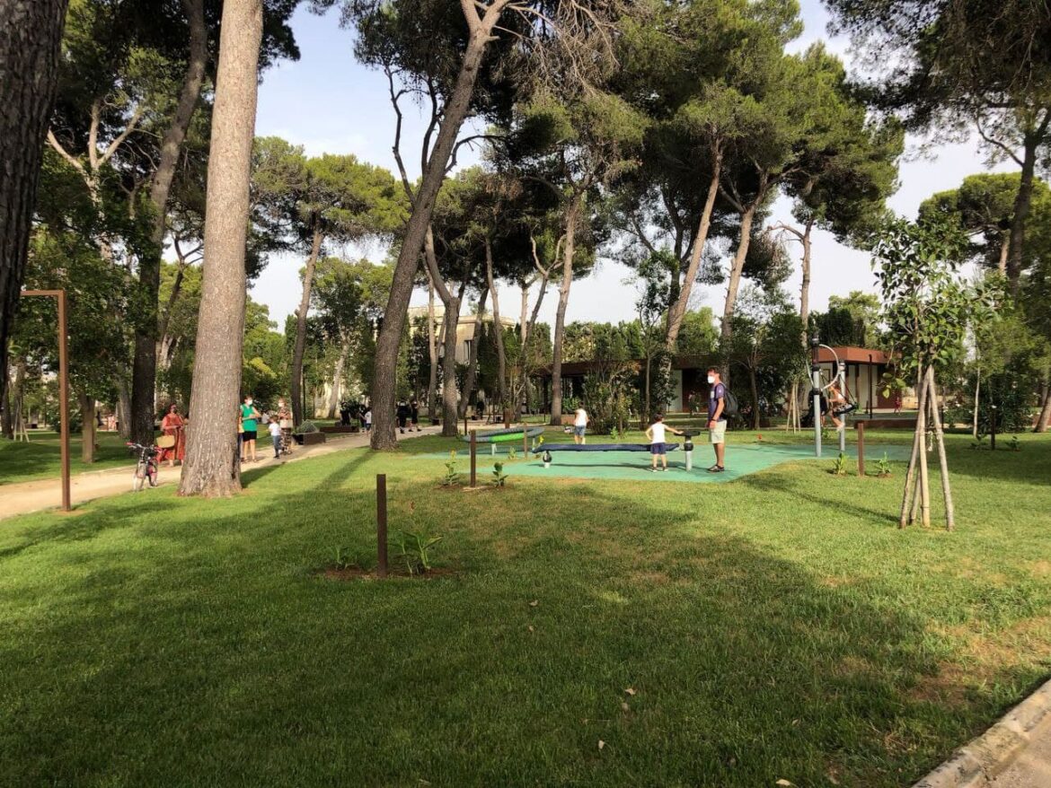 Il Parco Galateo riapre i suoi cancelli: “Alberature consolidate, rischio di caduta rientrato”. Era chiuso da aprile