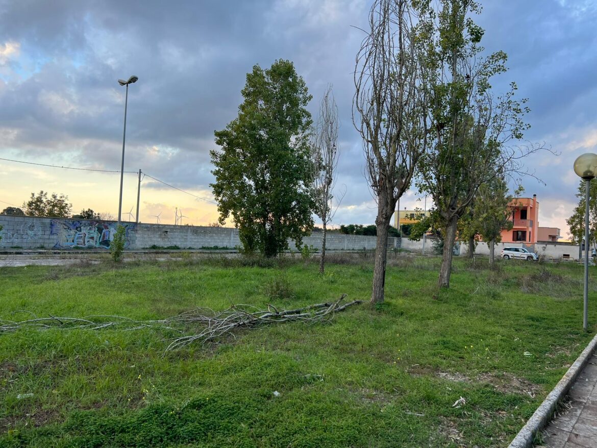 Villa comunale di Strudà, riqualificazione con 47 alberi grazie a “Il Sorriso di Pierandrea”